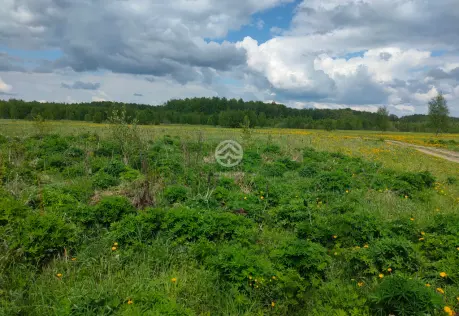 Продажа, участок, Селищево, 15 сот