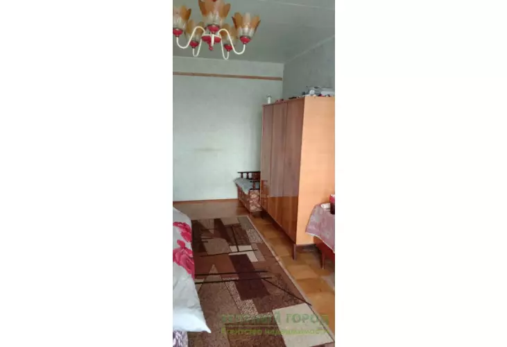 Продажа, 1 к. квартира, Елгозино, д. 44