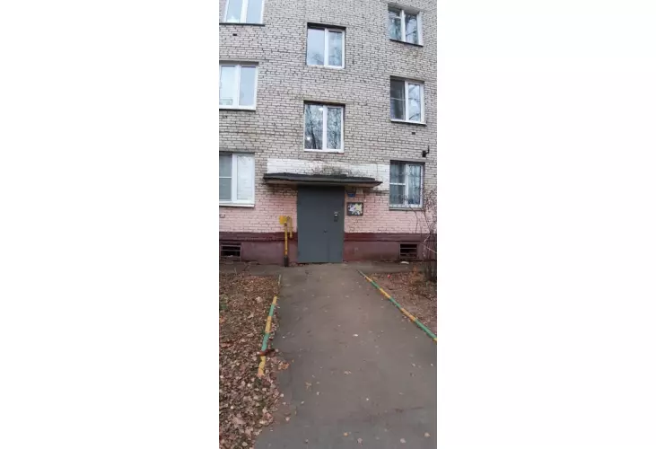 Продажа, 1 к. квартира, Фирсановка, Речная, д. 10