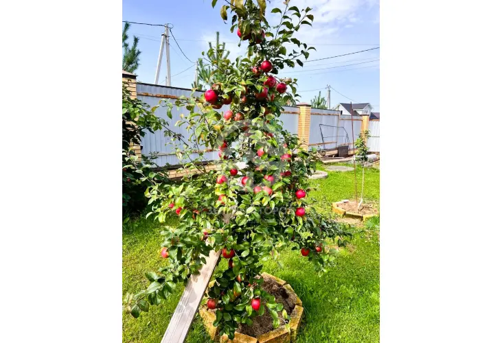 Продажа, дом, Задорино, 70 кв.м, 10,5 сот