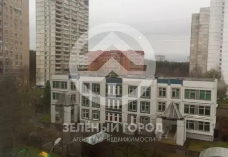 Аренда, 1 к. квартира, Зеленоград, к. 1133