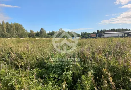 Продажа, участок, Селинское, 11 сот