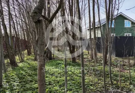 Продажа, участок, Горки, 500 сот