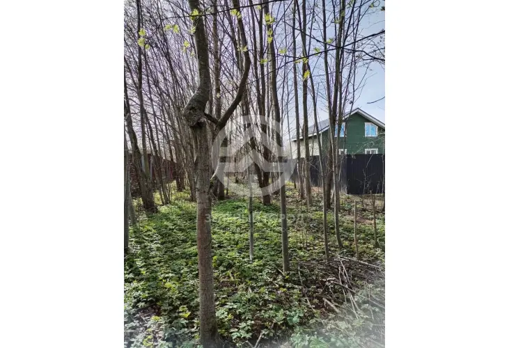 Продажа, участок, Горки, 6 сот