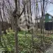 Продажа, участок, Горки, 6 сот