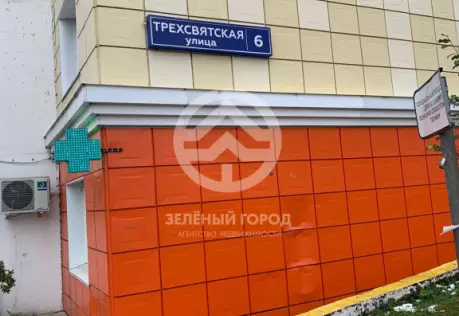 Продажа, 1 к. квартира, деревня Голубое, Трехсвятская, д. 6