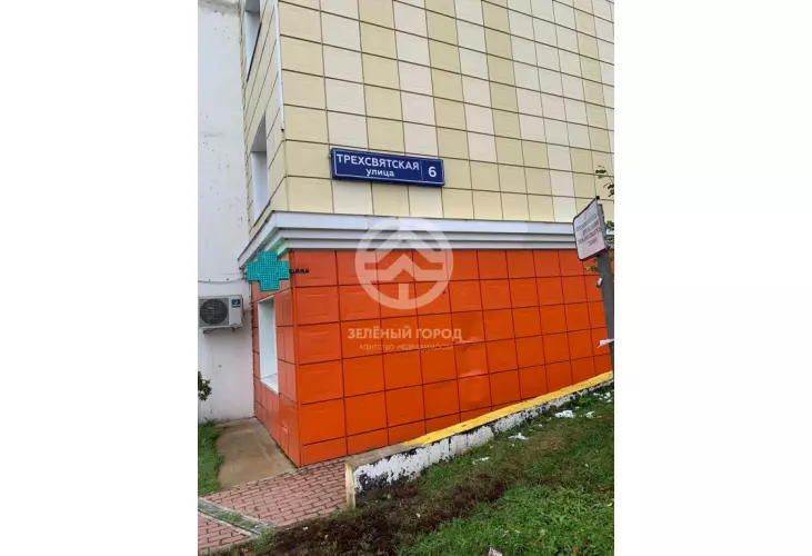 Продажа, 1 к. квартира, деревня Голубое, Трехсвятская, д. 6