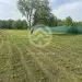 Продажа, участок, Колосово, 12 сот