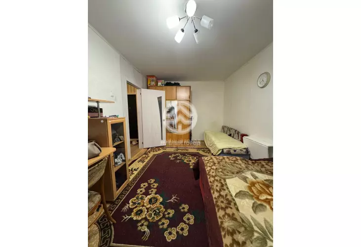 Продажа, 1 к. квартира, рабочий поселок Андреевка, д. 19