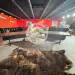 Продажа, гараж, рабочий поселок Андреевка, ГСК Исток-96