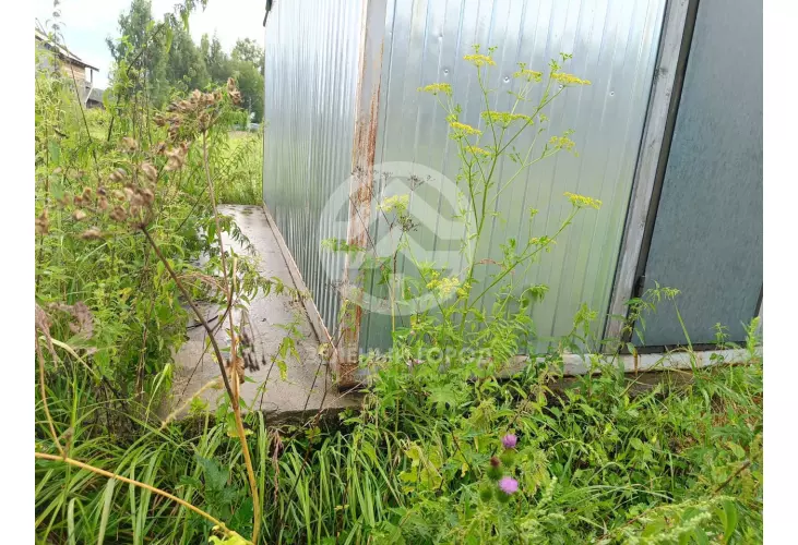 Продажа, участок, Васёлево, 15 сот