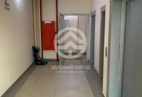 Продажа, 1 к. квартира, деревня Голубое, Трехсвятская, д. 6