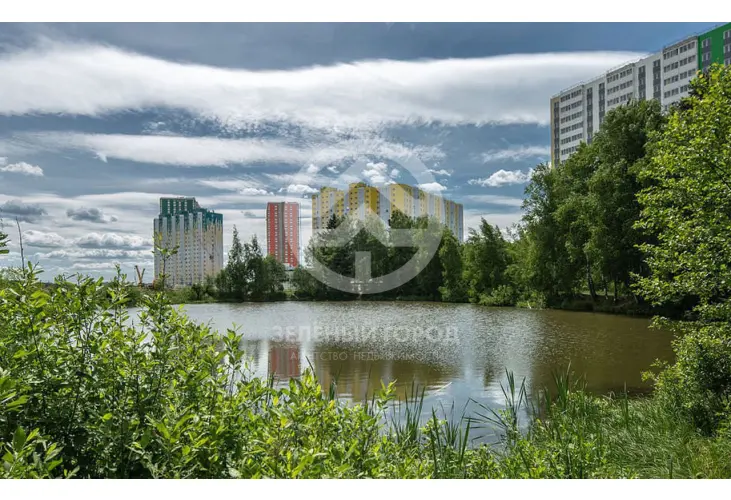 Продажа, 1 к. квартира, деревня Голубое, Сургутский проезд, д. 1, к. 1