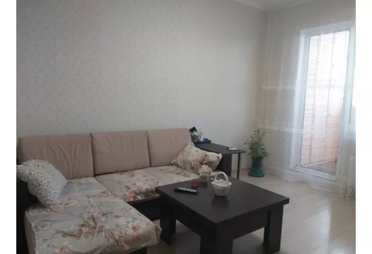 Продажа, 1 к. квартира, деревня Голубое, Трехсвятская, д. 13