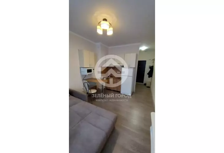 Продажа, студия, деревня Голубое, Зеленый проезд, д. 2