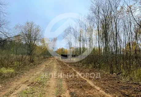 Продажа, участок, Елино, 15 сот