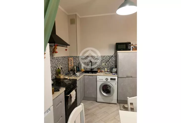 Продажа, 1 к. квартира, деревня Голубое, Трехсвятская, д. 6