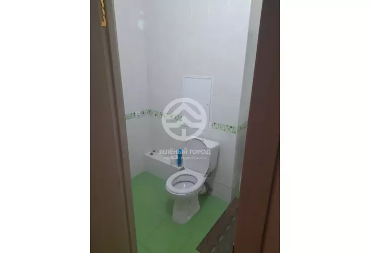 Продажа, 1 к. квартира, деревня Голубое, Трехсвятская , д. 13