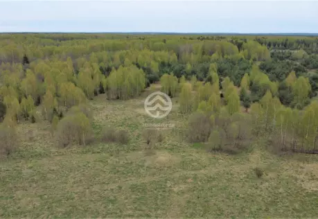 Продажа, участок, Жестоки, 29,5 сот