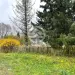Продажа, дом, Радованье, 383 кв.м, 24 сот