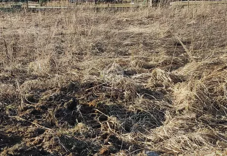 Продажа, участок, Задний Двор, 8 сот