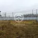 Продажа, участок, Пятницкая слобода ТСН, 12 сот