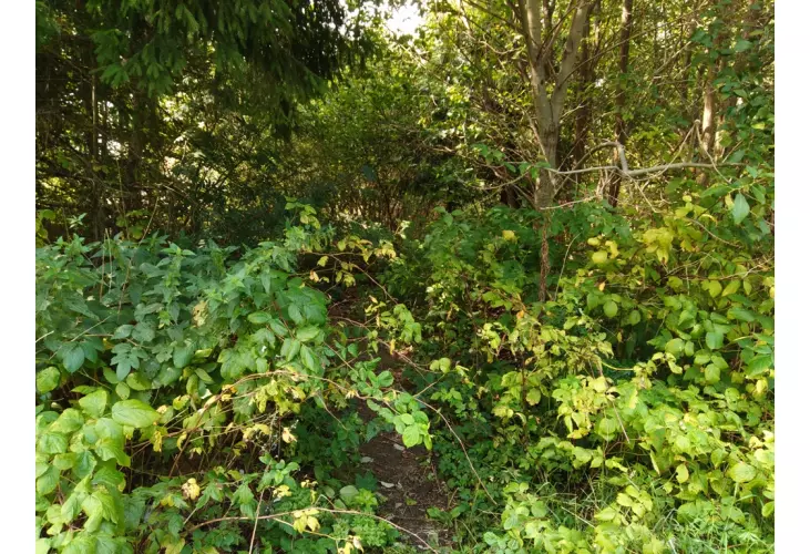 Продажа, участок, Есипово, 25 сот