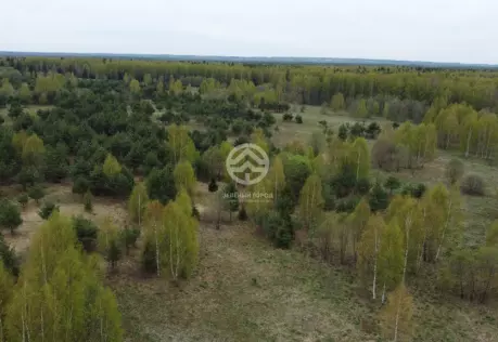 Продажа, участок, Жестоки, 29,5 сот