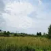 Продажа, участок, КП Октава, 16 сот