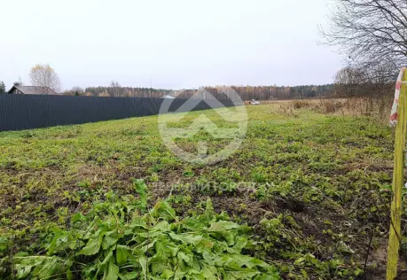 Продажа, участок, Васильково, 12 сот