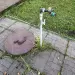 Продажа, дом, Головково, 61 кв.м, 12 сот