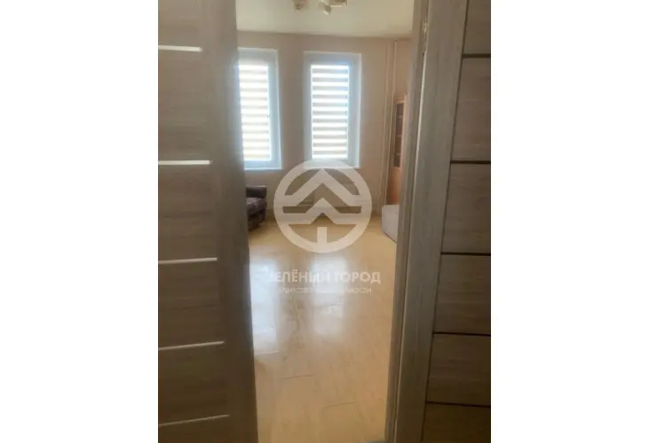 Аренда, 1 к. квартира, Зеленоград, к. 2033