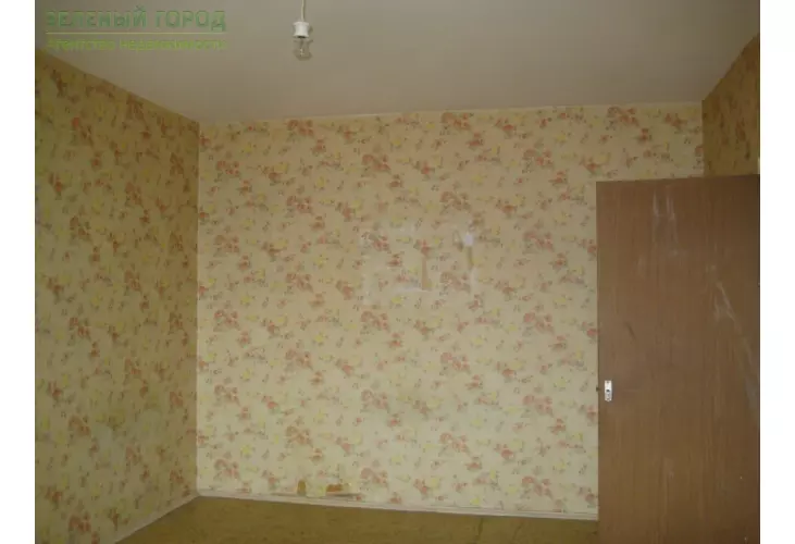 Аренда, 1 к. квартира, Зеленоград, к. 1519