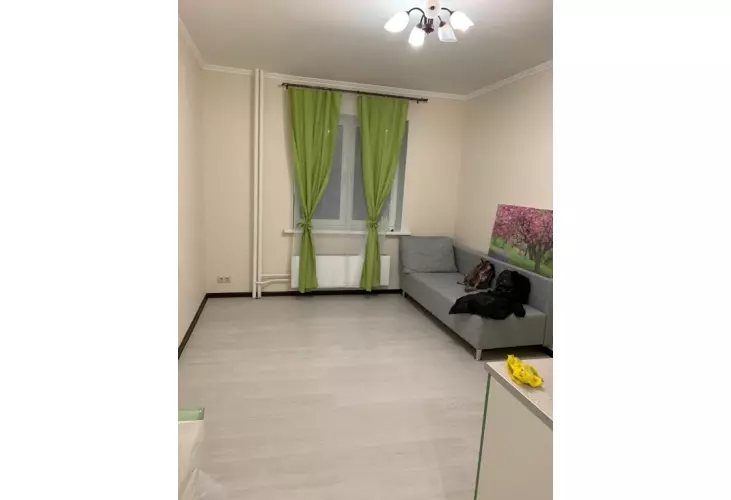 Аренда, 1 к. квартира, Зеленоград, Георгиевский проезд, д. 37/1