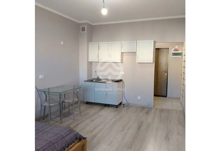 Продажа, студия, деревня Голубое, Парковый бульвар, д. 2, к. 6