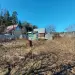 Продажа, дача, Льялово, 61 кв.м, 6 сот