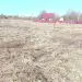 Продажа, участок, Горки 1, 10 сот