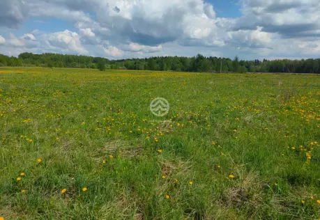 Продажа, участок, Селищево, 15 сот