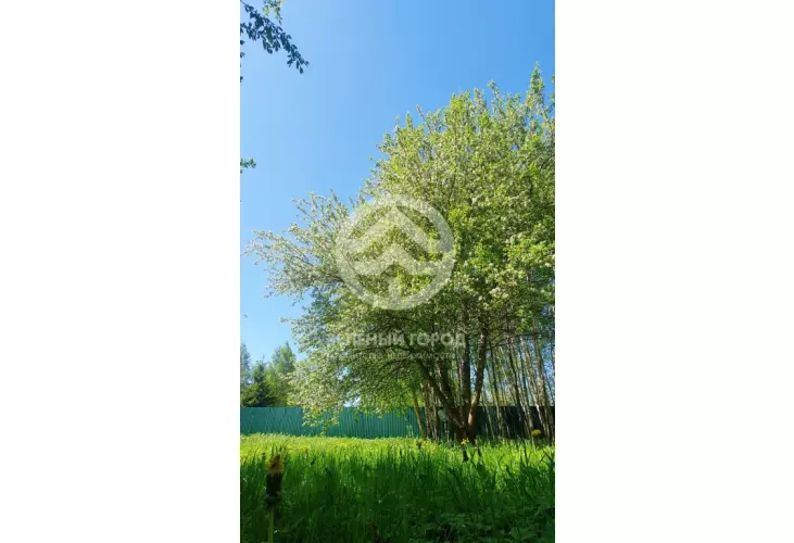 Продажа, дом, Рузино, 79 кв.м, 40 сот