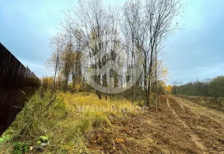 Продажа, участок, Елино, 15 сот