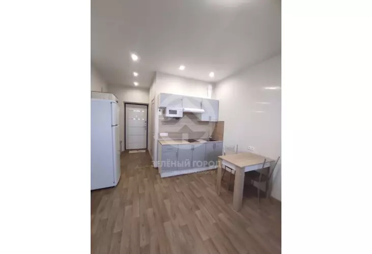 Аренда, студия, рабочий поселок Андреевка, Клубная, д. 38А