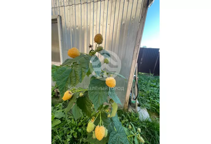 Продажа, дом, Высоковск, 140 кв.м, 6 сот