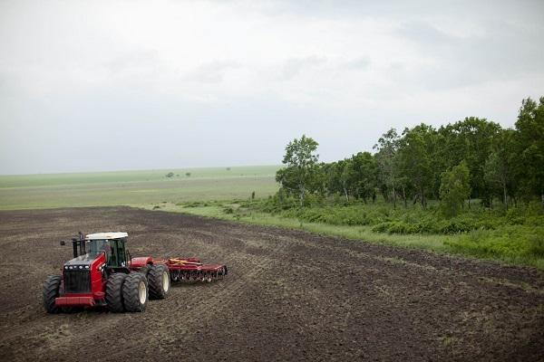 В России предложили увеличить налог на неиспользуемые сельхозземли