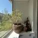 Продажа, 2 к. квартира, Менделеево, Институтская, д. 14