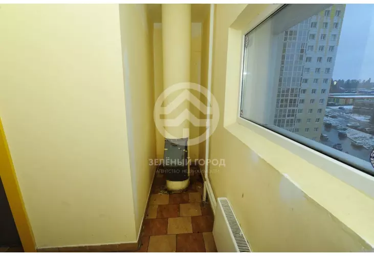 Продажа, 1 к. квартира, деревня Голубое, Трехсвятская , д. 18