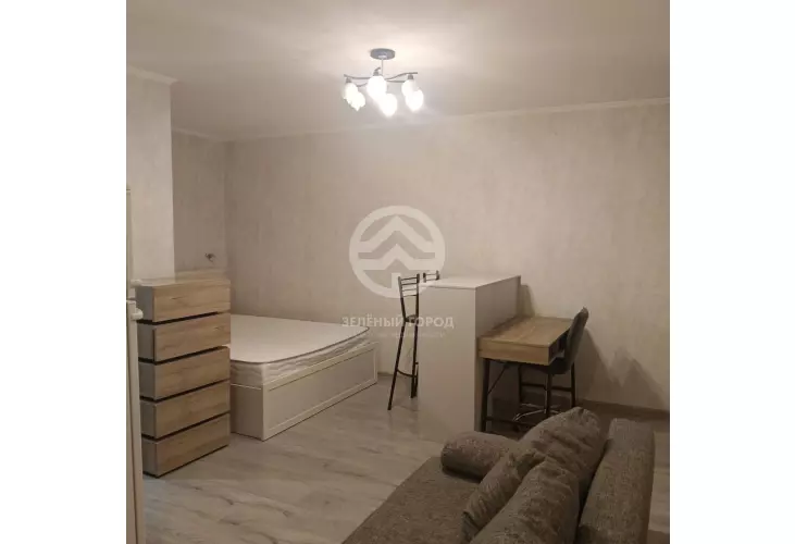 Аренда, студия, рабочий поселок Андреевка, Староандреевская , д. 43, к. 2