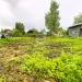 Продажа, участок, Стрелино, 7 сот