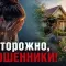 В Госдуме предупредили дачников о новой схеме мошенничества: злоумышленники рассылают фальшивые штрафы за нарушения на участках
