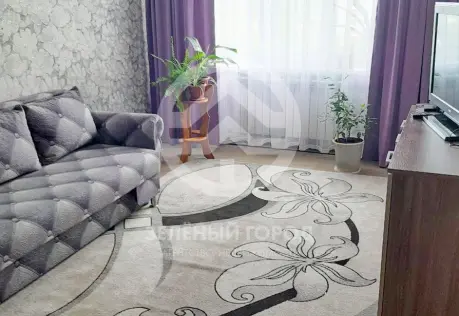 Продажа, 2 к. квартира, Озерки, Октябрьская , д. 10