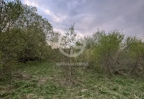 Продажа, участок, Афанасово, 10 сот